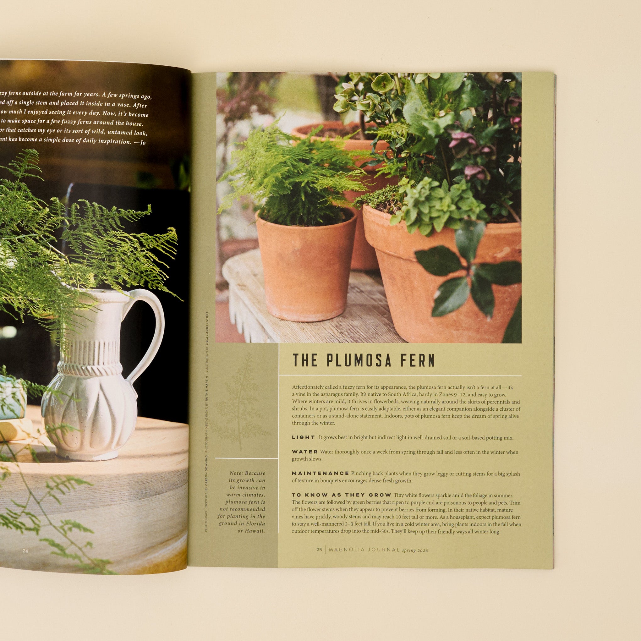 Magnolia Journal Spring 2026 - Image 4
