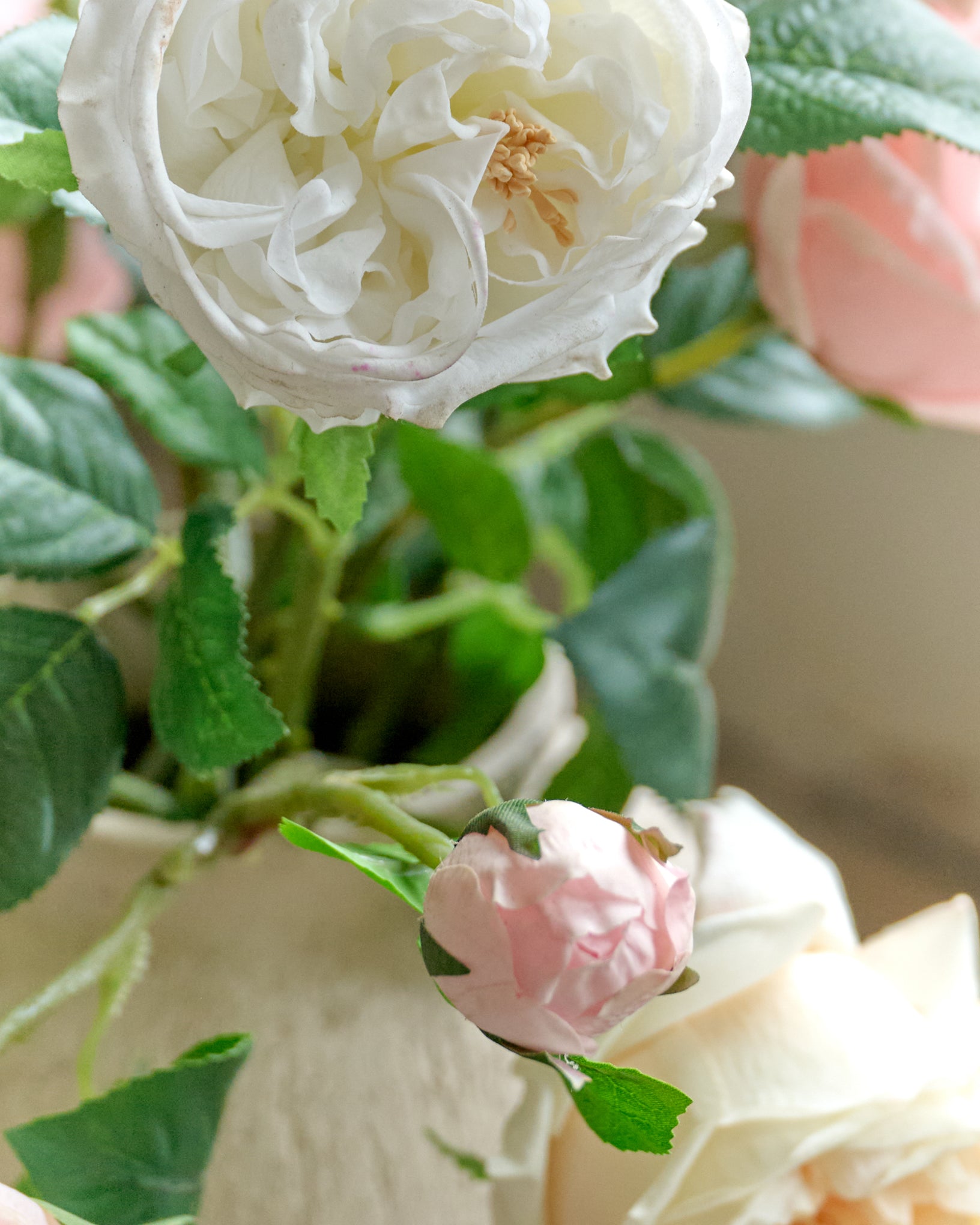 Austin Rose Stem - Image 3