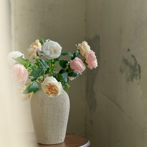 Austin Rose Stem