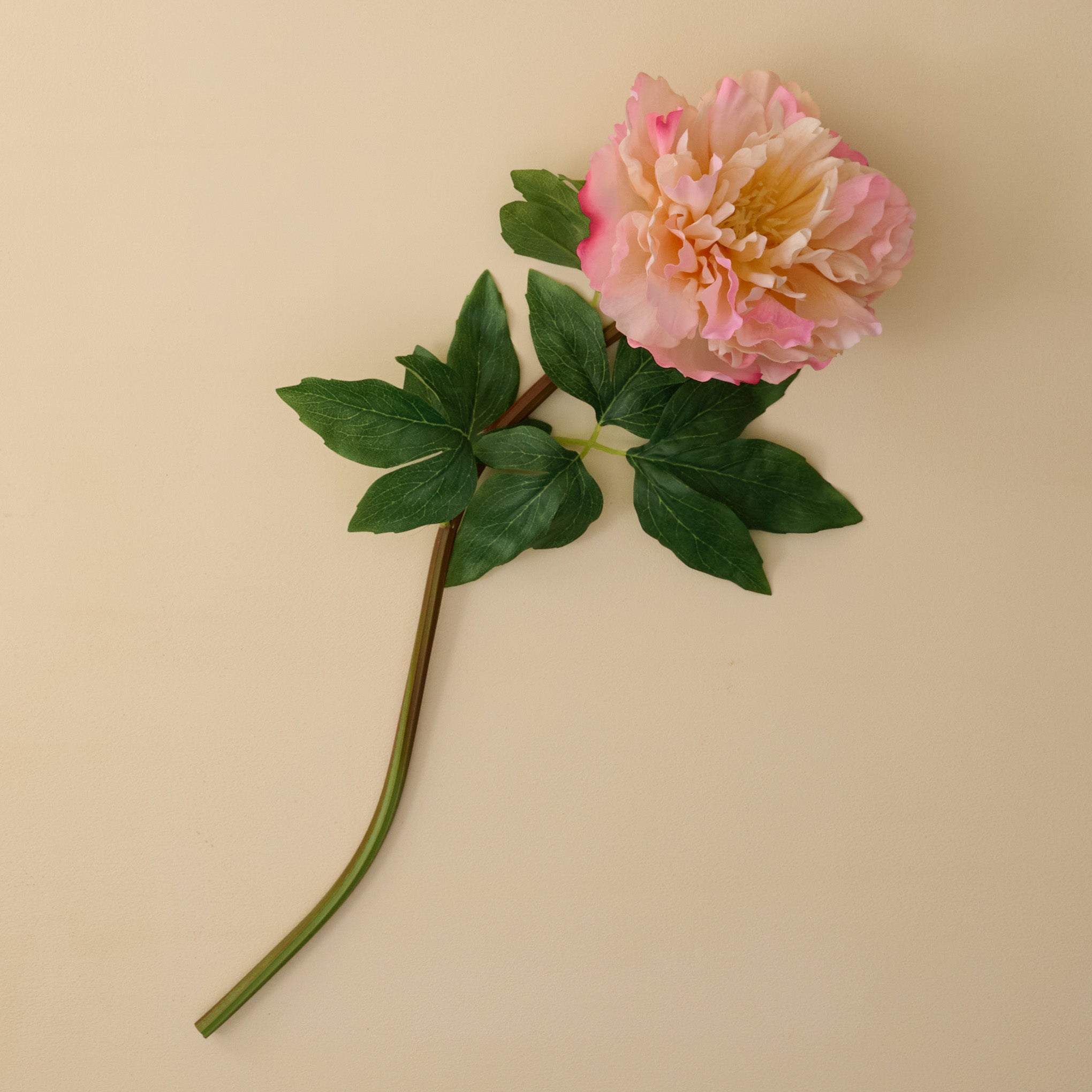 Real Touch Peach Peony Stem - Image 2