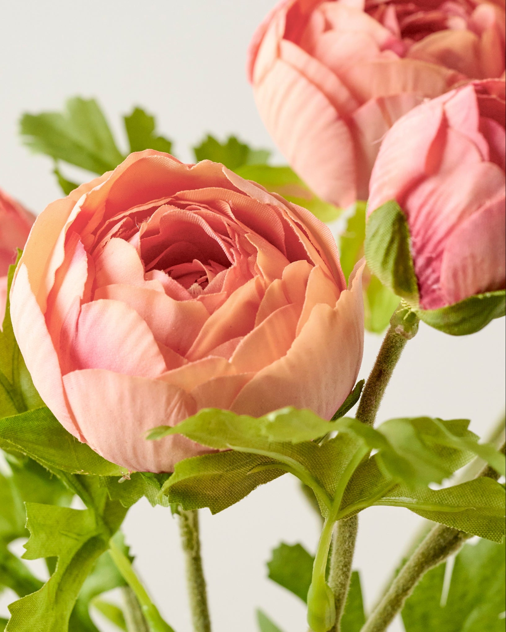 Real Touch Ranunculus Stem - Image 5