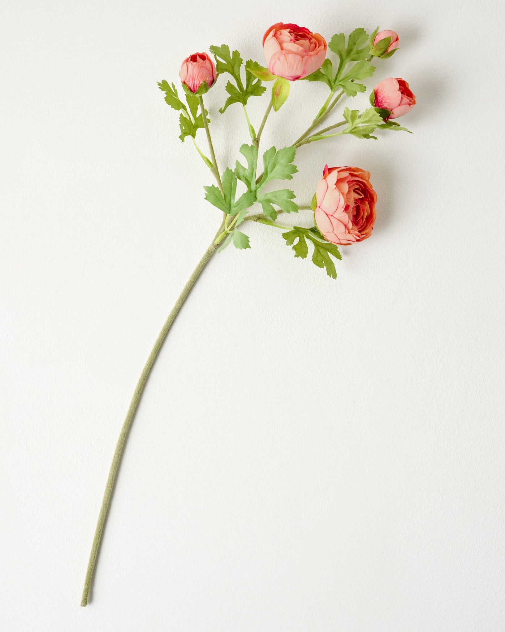 Real Touch Ranunculus Stem - Image 6