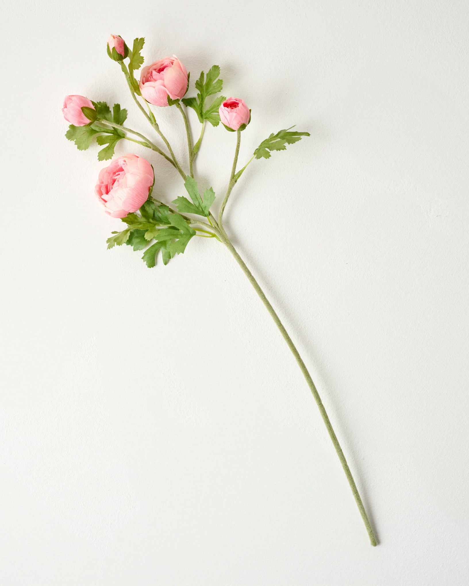 Real Touch Ranunculus Stem - Image 4