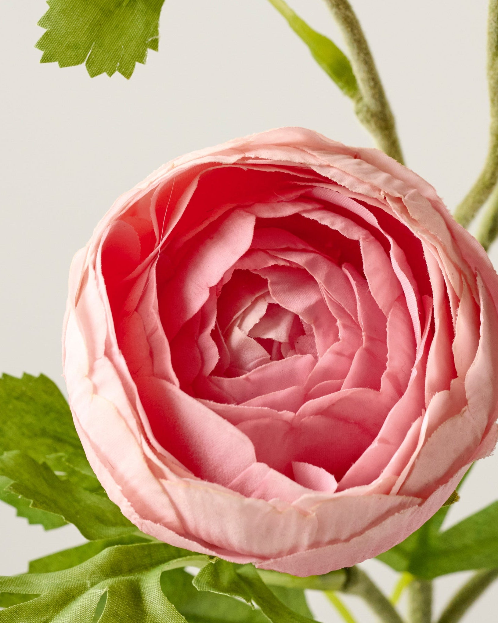 Real Touch Ranunculus Stem - Image 3