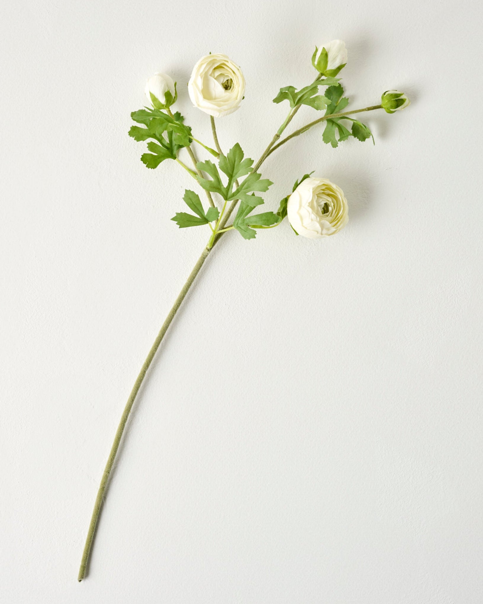 Real Touch Ranunculus Stem - Image 2