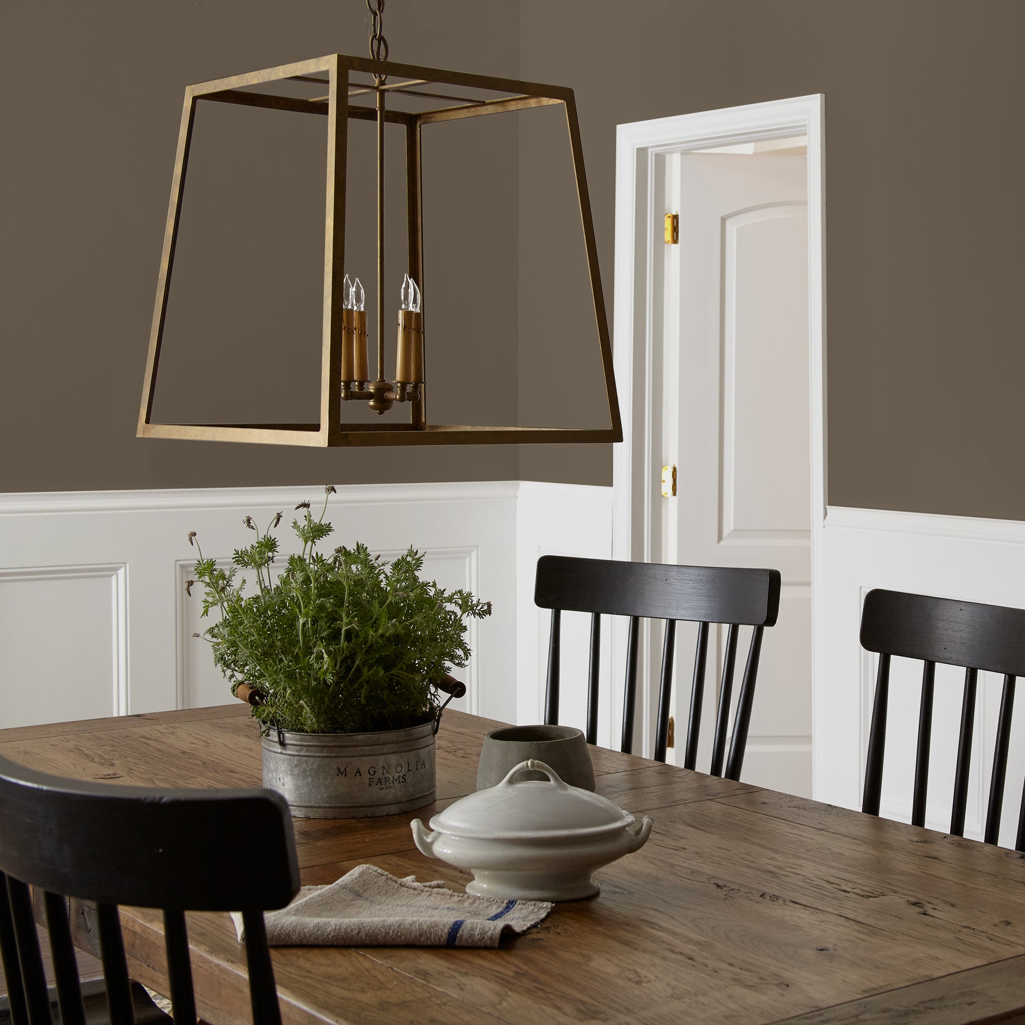 Mosswood - Classic Interior Paint - Image 3