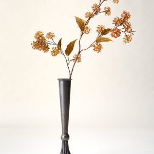 Elderberry Stem