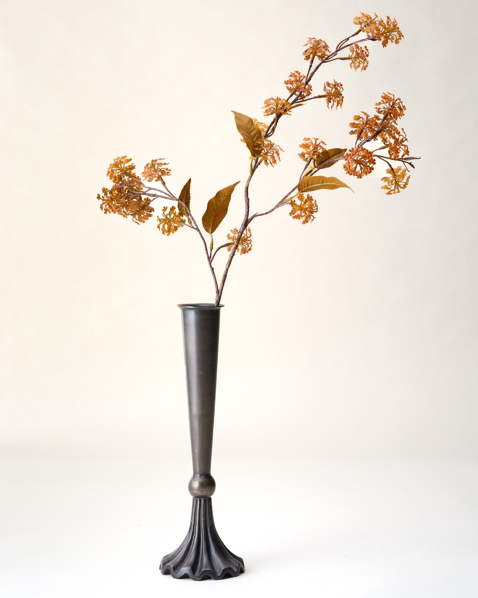 Elderberry Stem