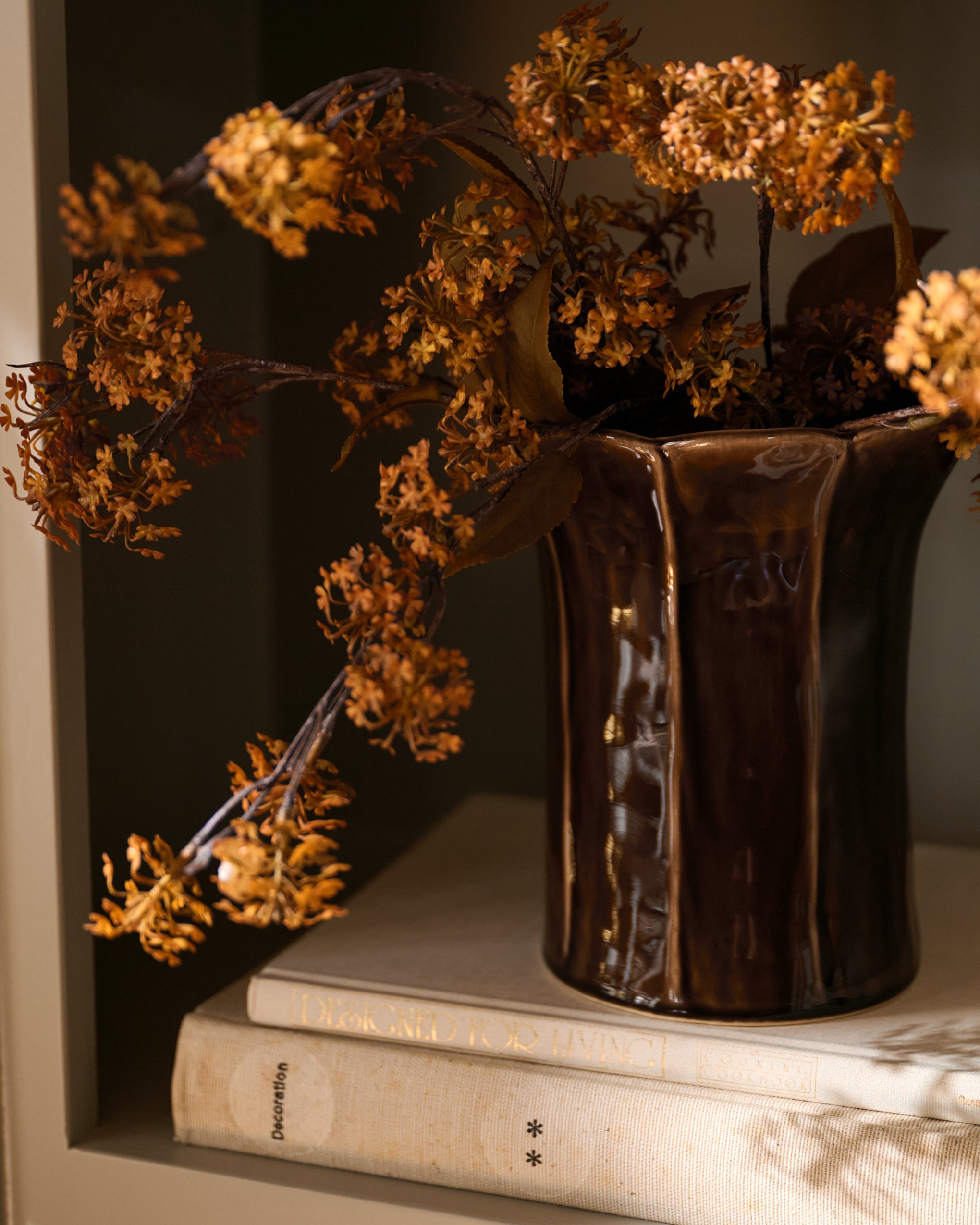 Elderberry Stem - Image 2