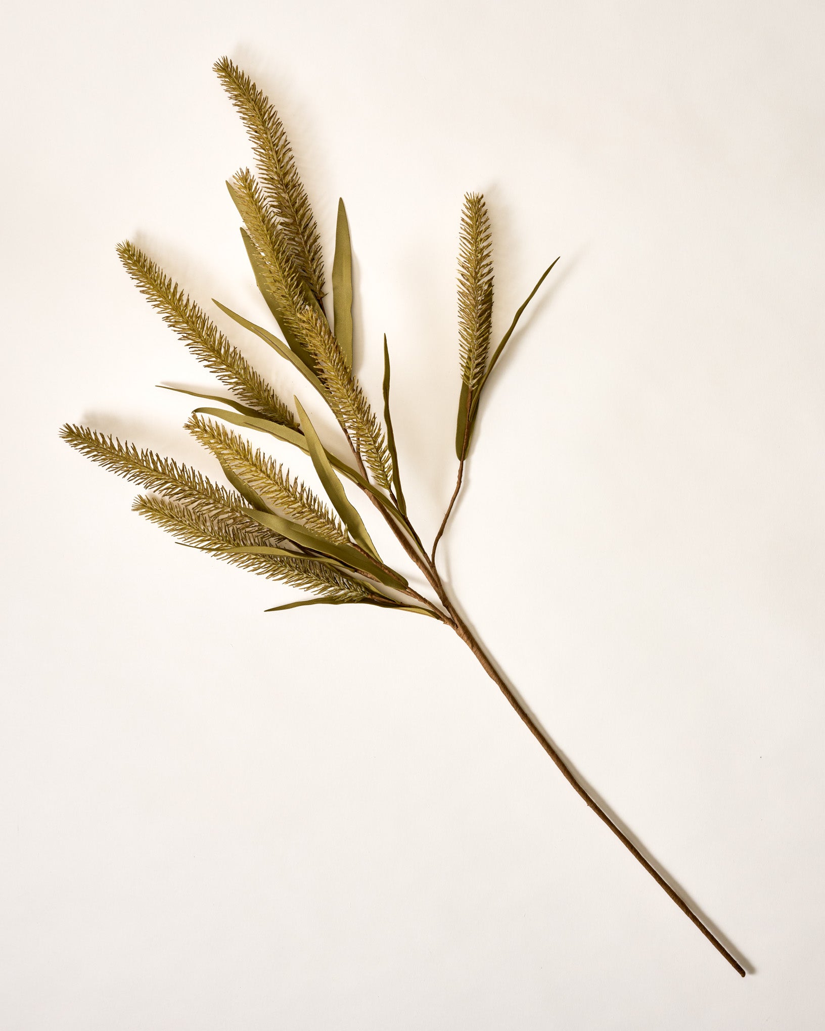 Green Foxtail Wheat - Image 2