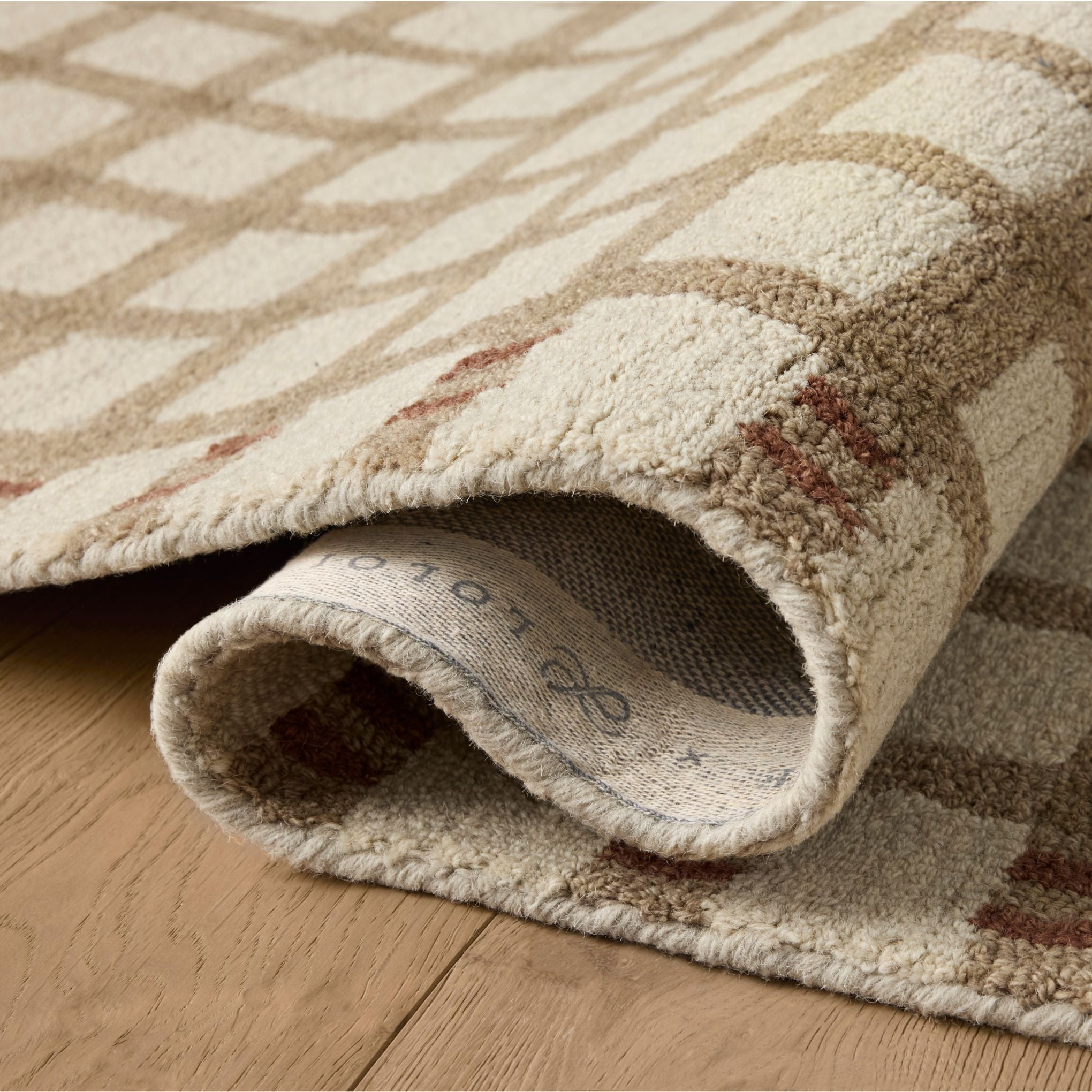Waylon Natural Rust Rug - Image 4