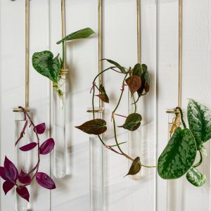 Lila Hanging Glass Wall Vase