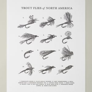 Guide To Trout Flies Print