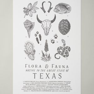 Texas Field Guide Print