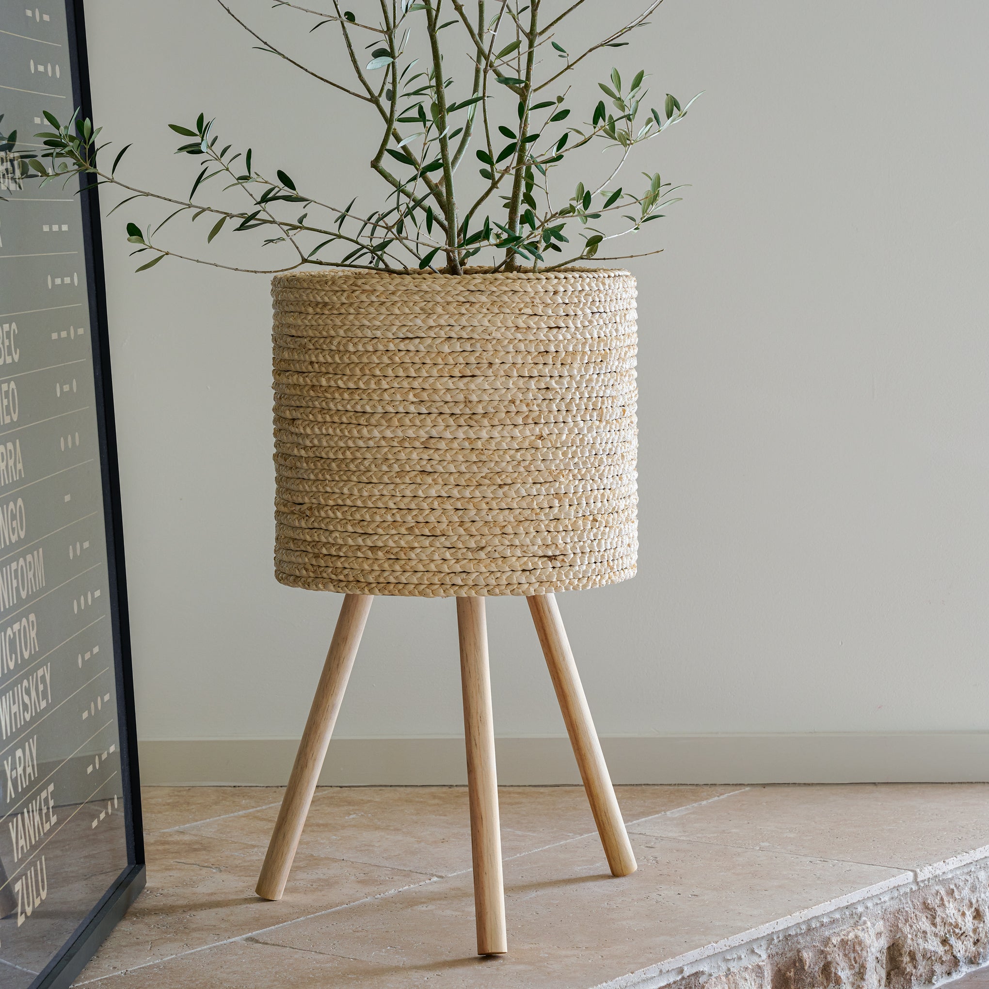 Bleached Woven Plant Stands - Image 6