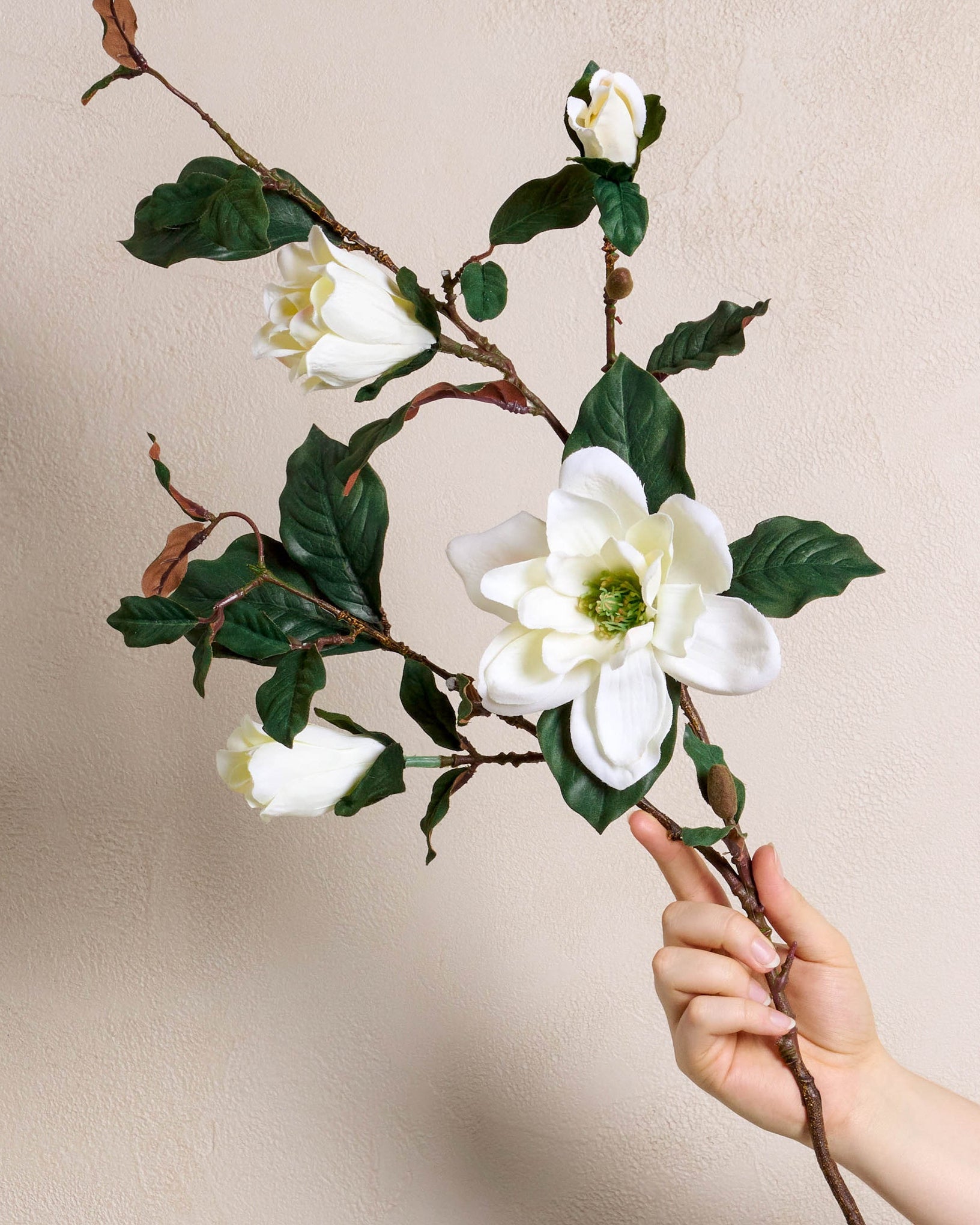 Magnolia Spray - Image 2