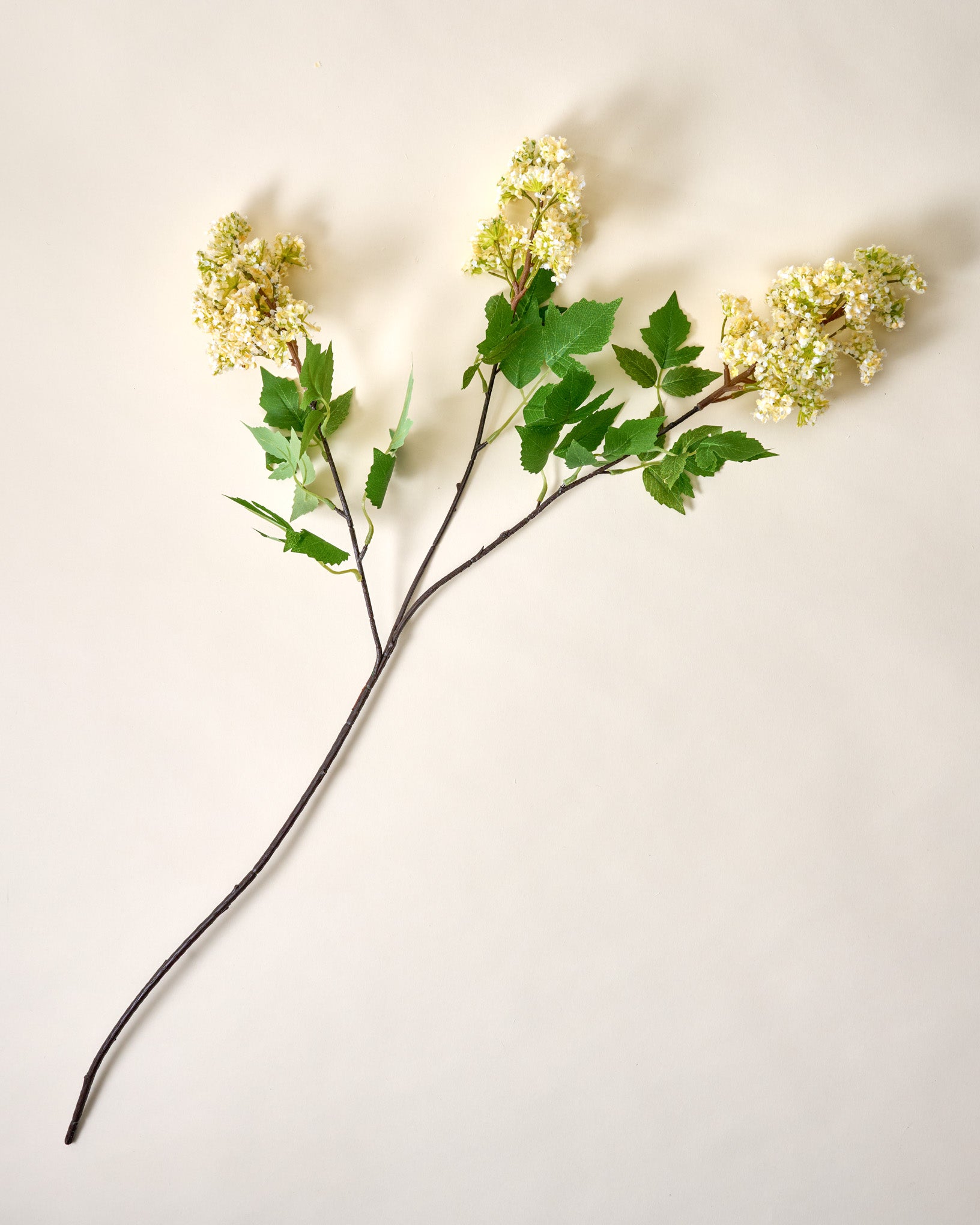 Crepe Myrtle Spray - Image 3