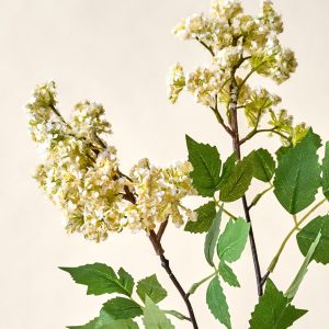 Crepe Myrtle Spray