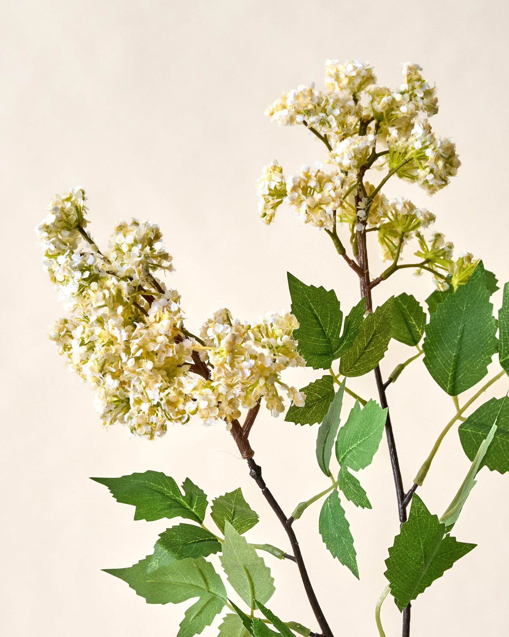 Crepe Myrtle Spray