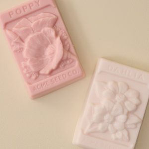 Cleanse Gourmet Garden Party Soap Duo