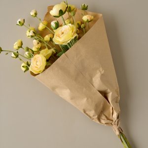 Ranunculus Bloom Bundle