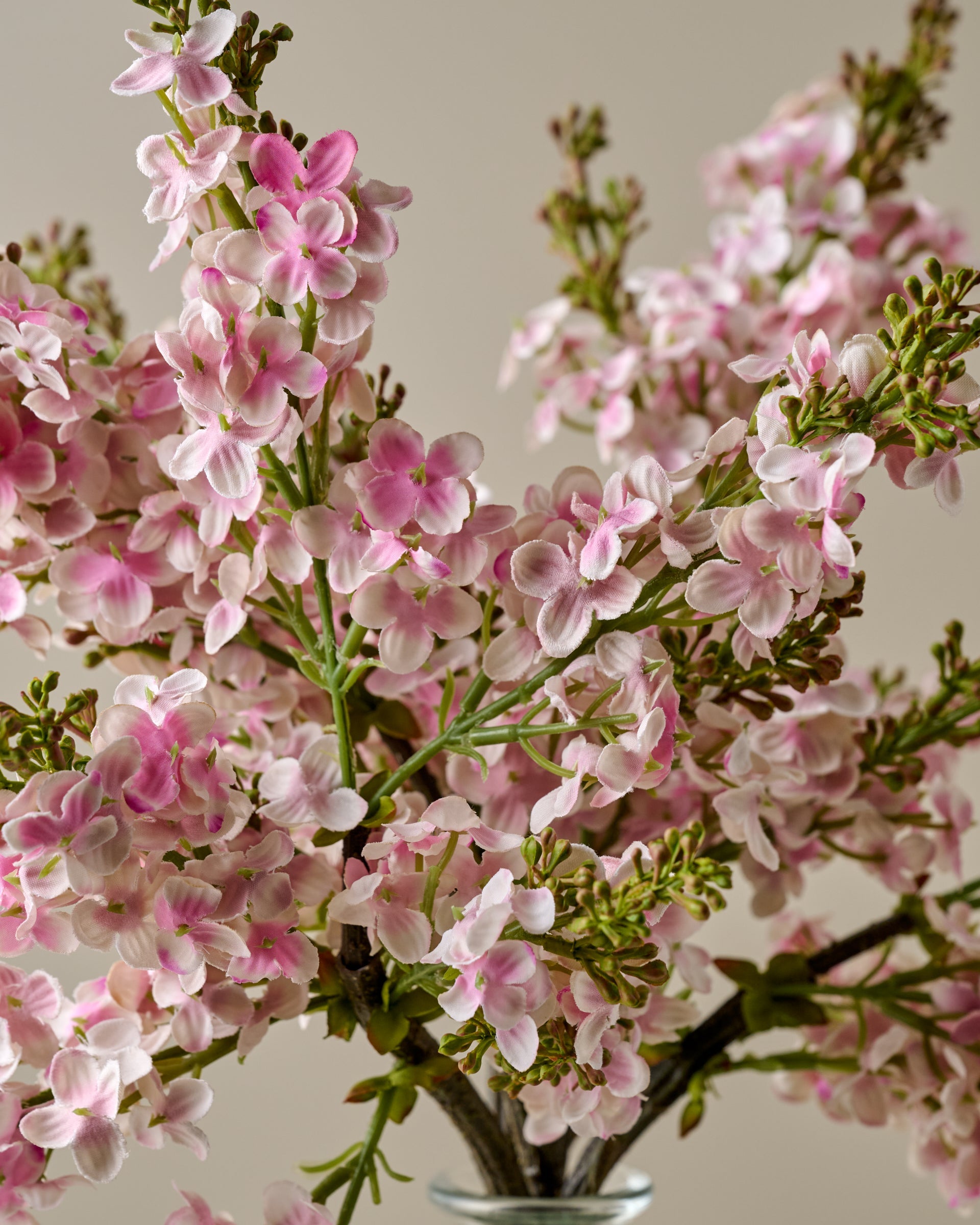 Lilac Bundle - Image 3