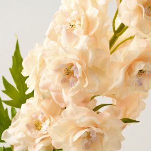 Delphinium Stem