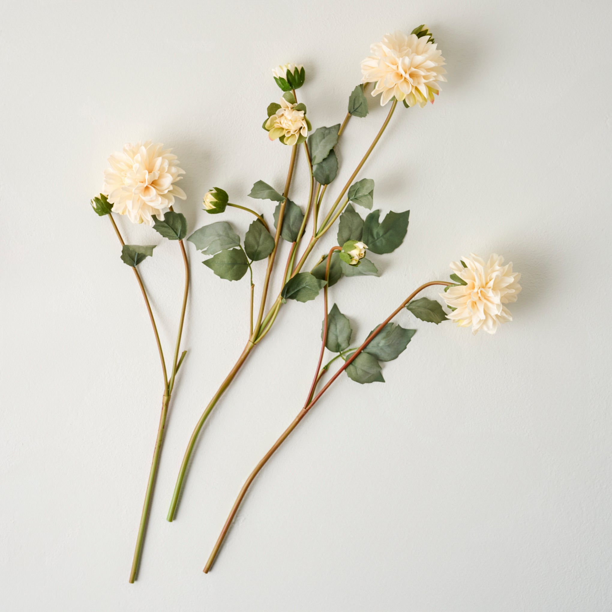 Dahlia Bloom Bundle - Image 2