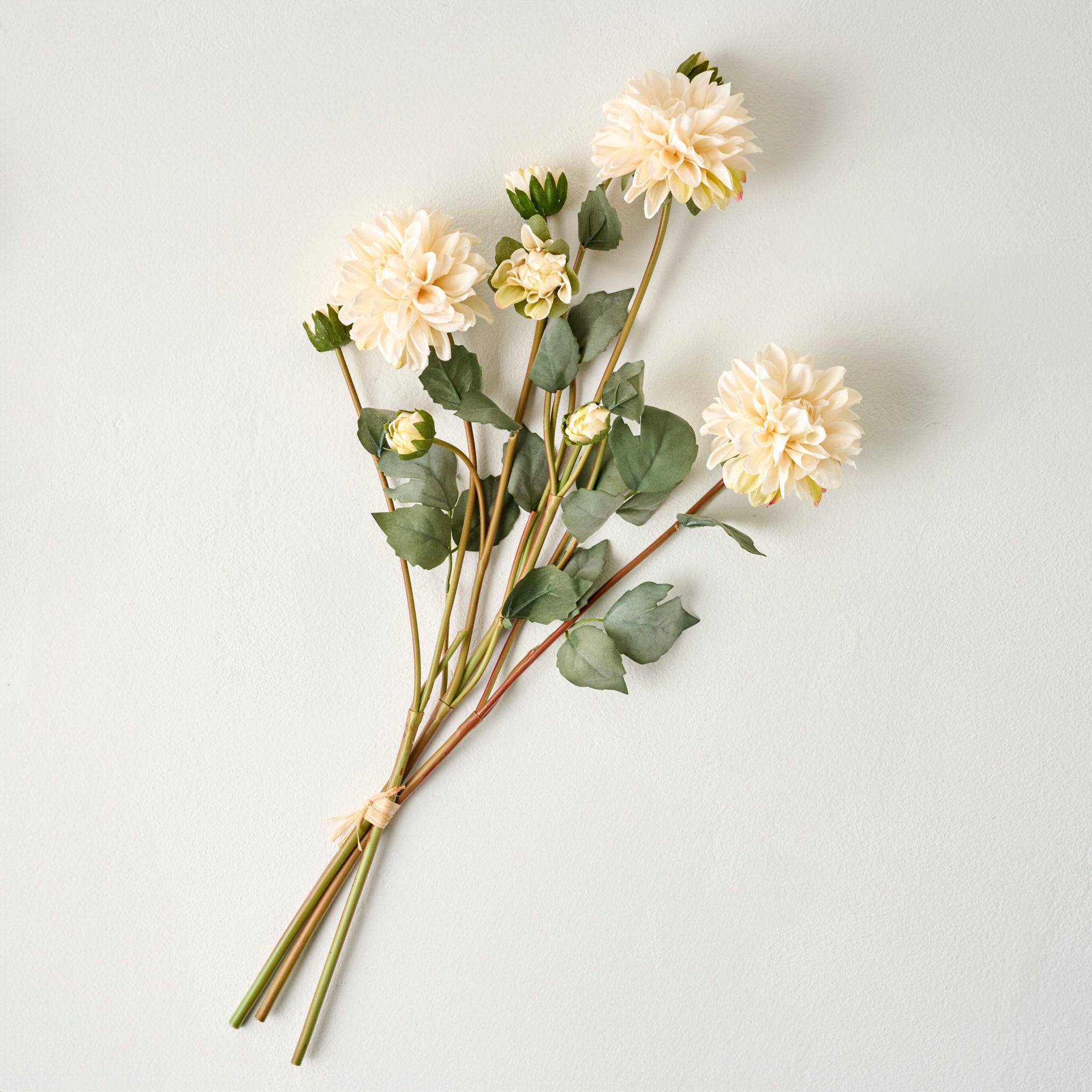 Dahlia Bloom Bundle