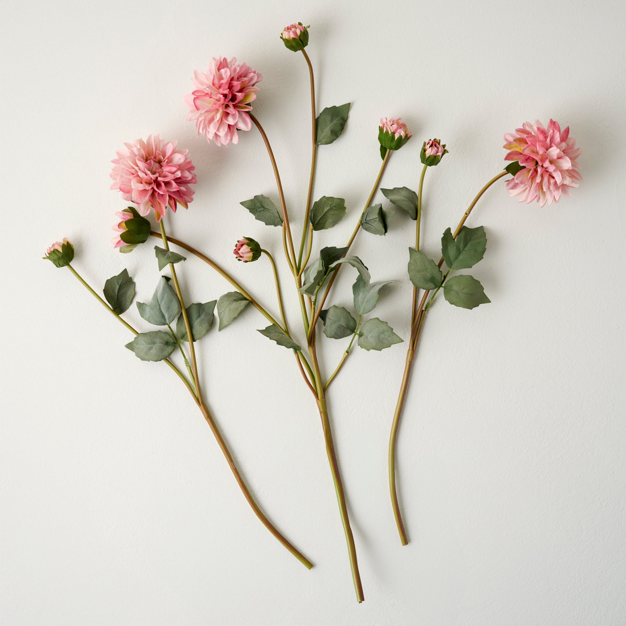 Dahlia Bloom Bundle - Image 6