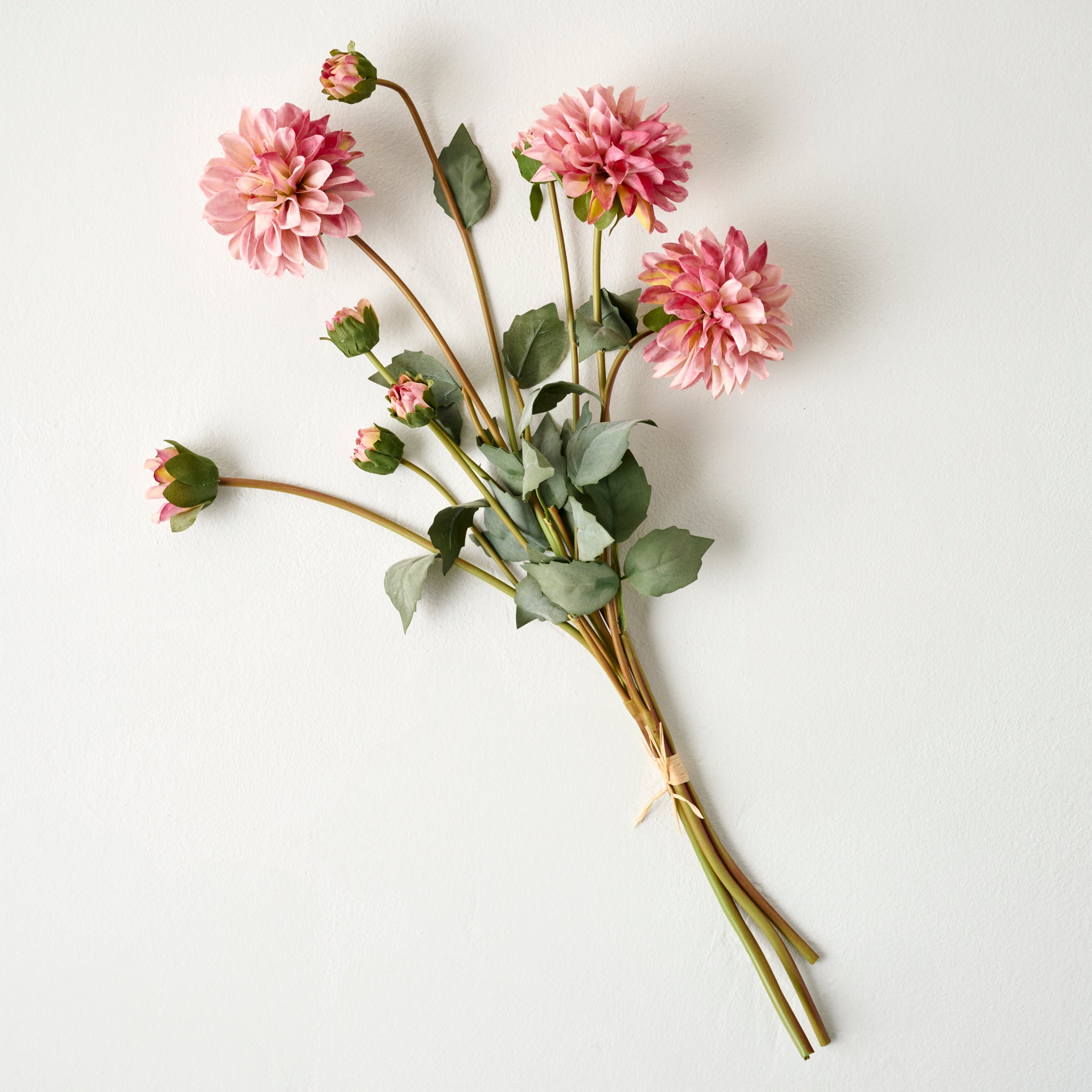 Dahlia Bloom Bundle - Image 5