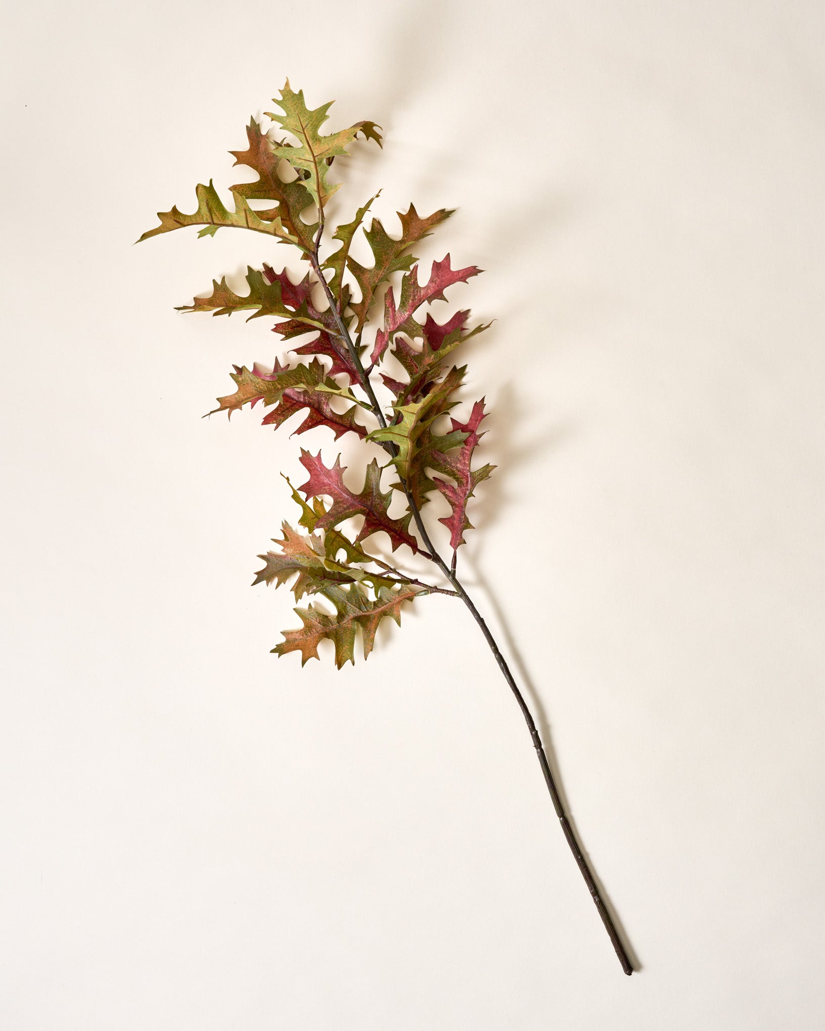 Oak Leaf Branch - Image 3