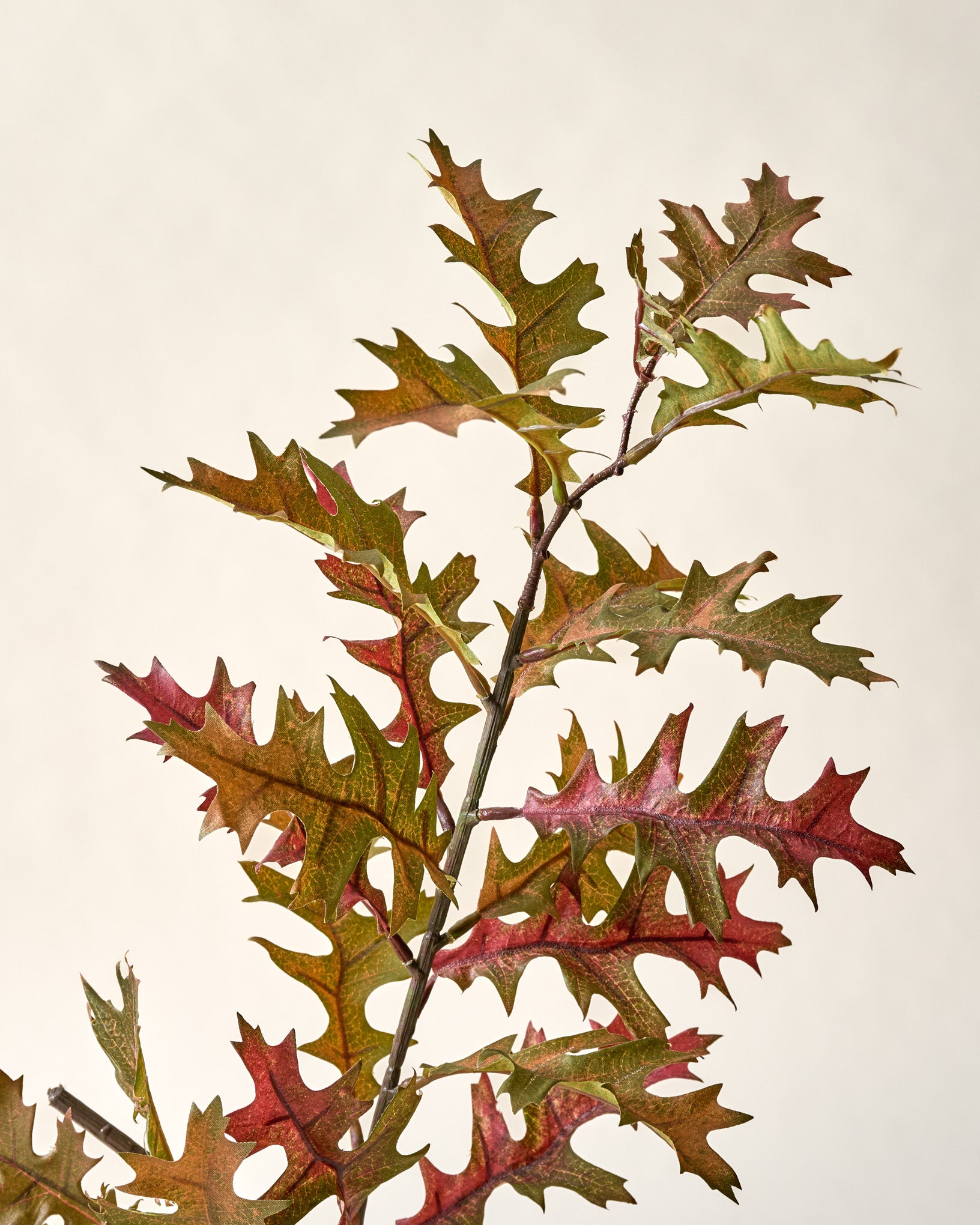 Oak Leaf Branch - Image 2