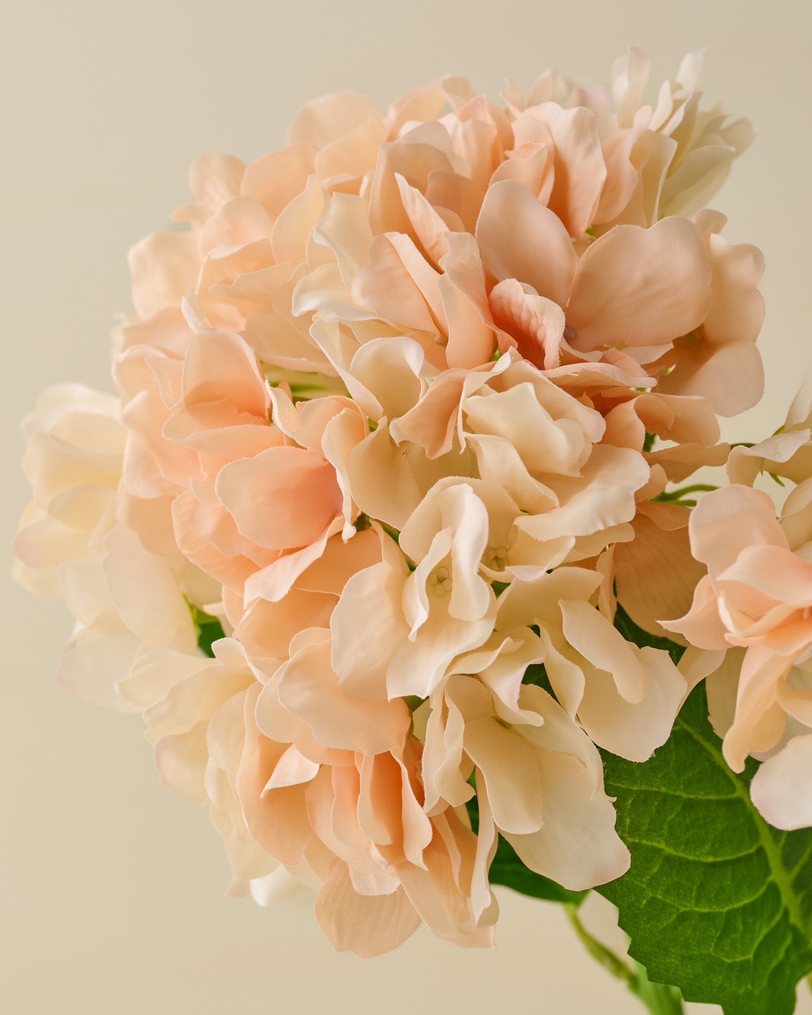 Real Touch Hydrangea Bundle - Image 6