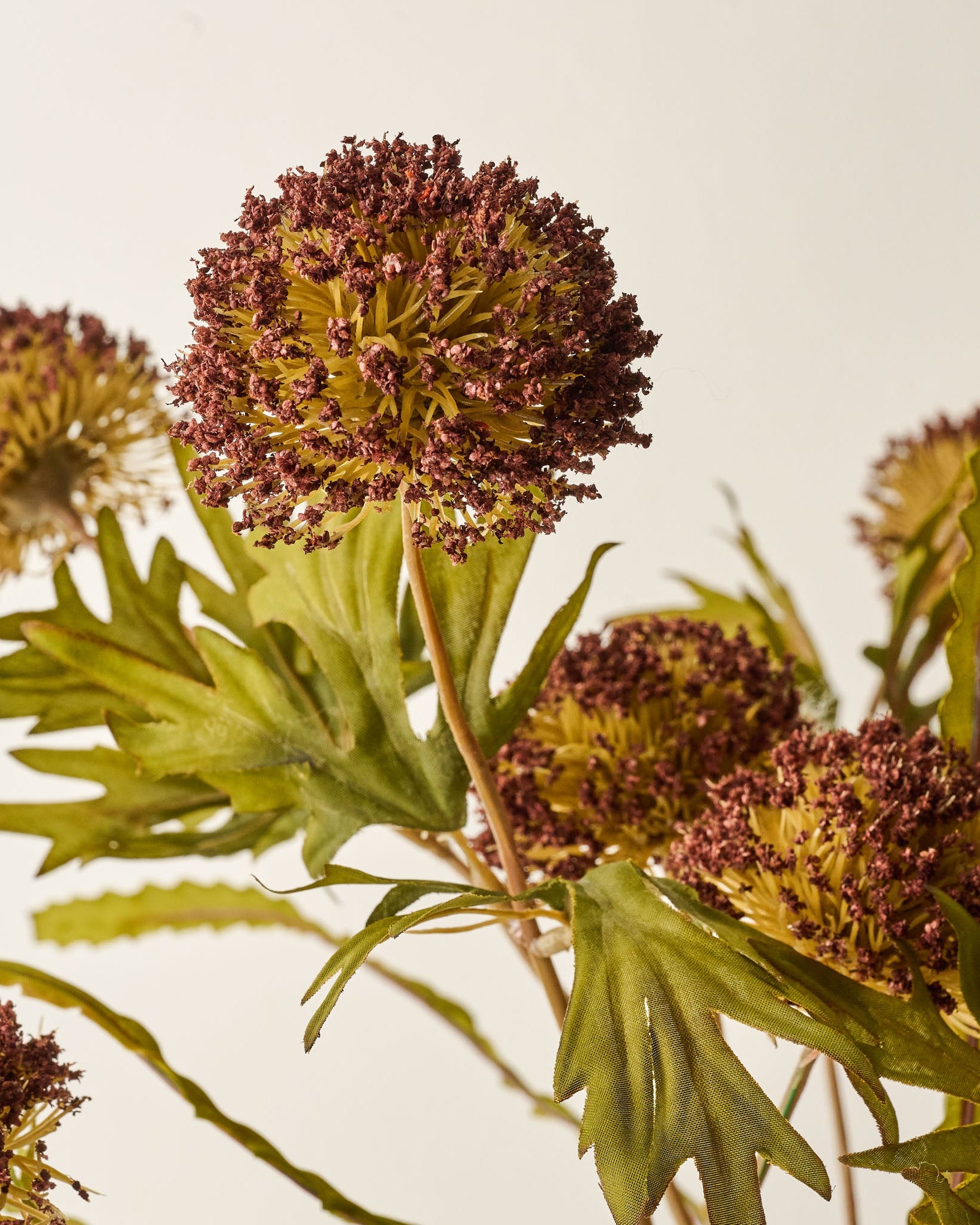 Large Thistle Bush - Image 2