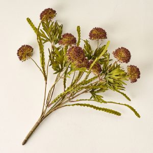 Large Thistle Bush