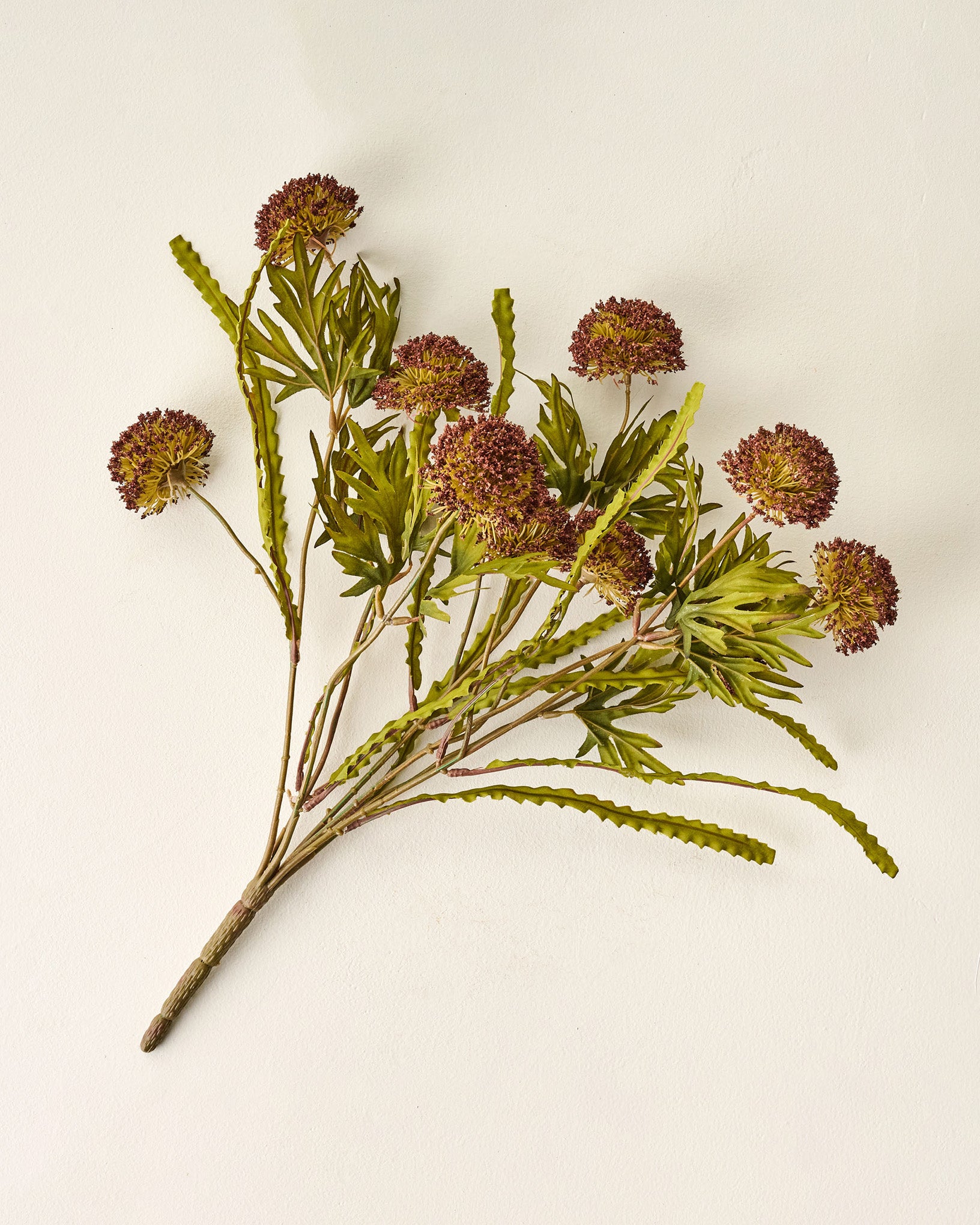 Large Thistle Bush