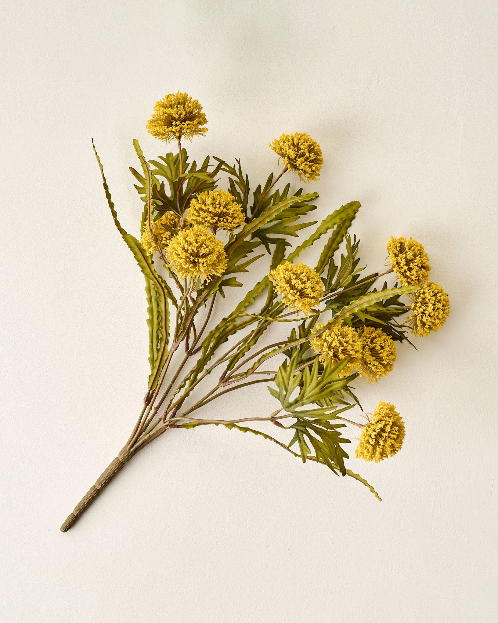 Large Thistle Bush - Image 3