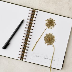 Herbarium Journal