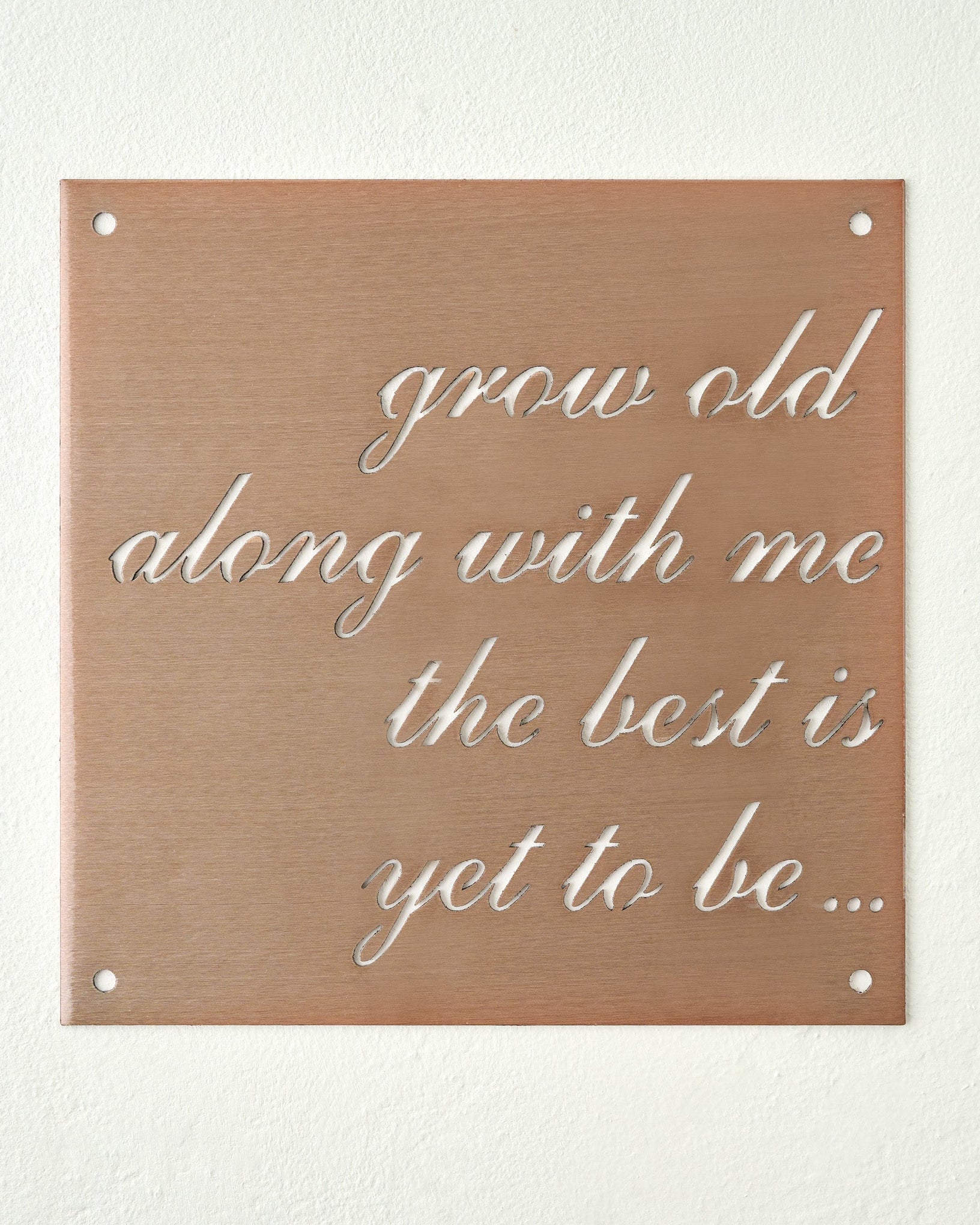 Grow Old Along With Me Sign