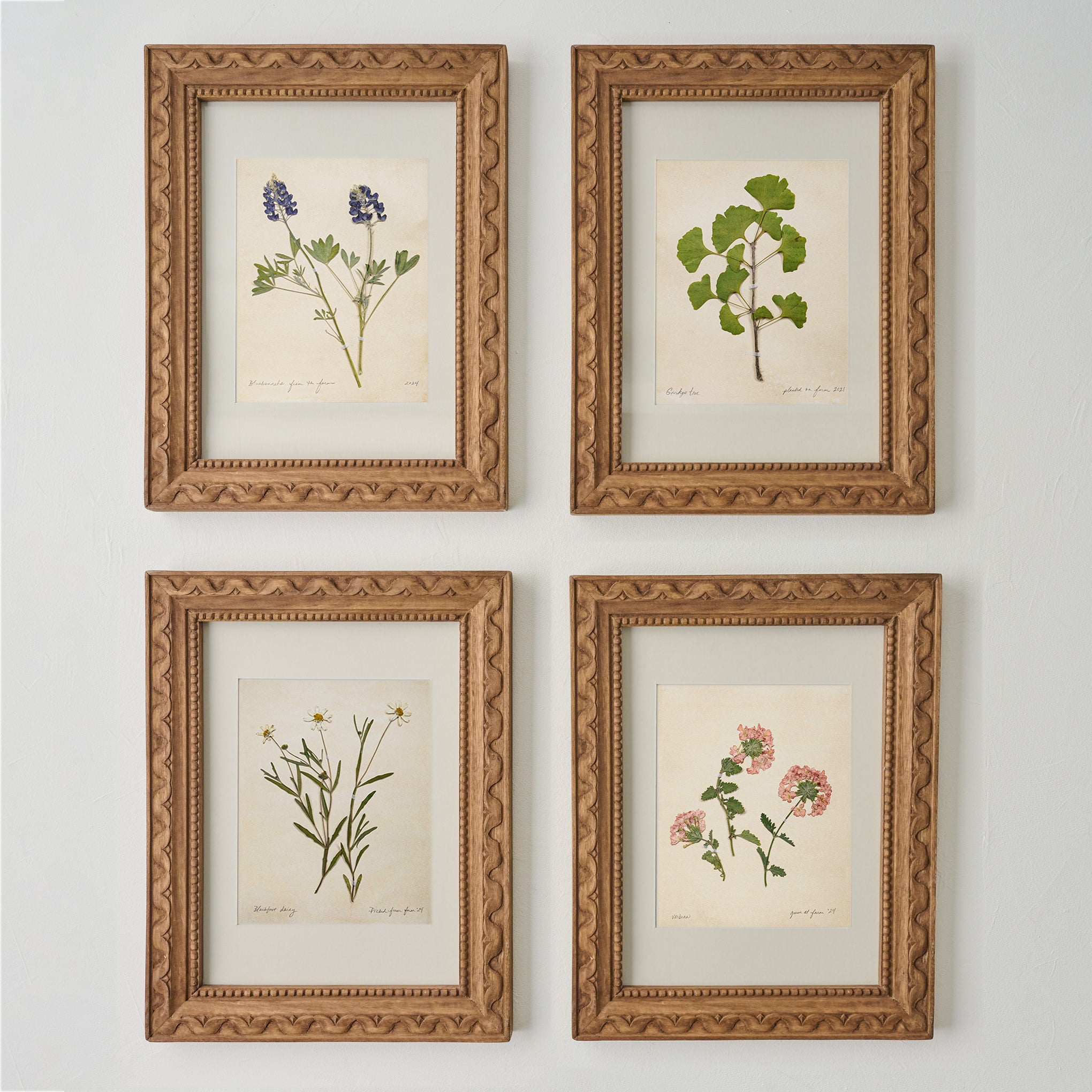 Jo's Hand Pressed Herbarium Prints - Ginkgo Tree '21 - Image 3