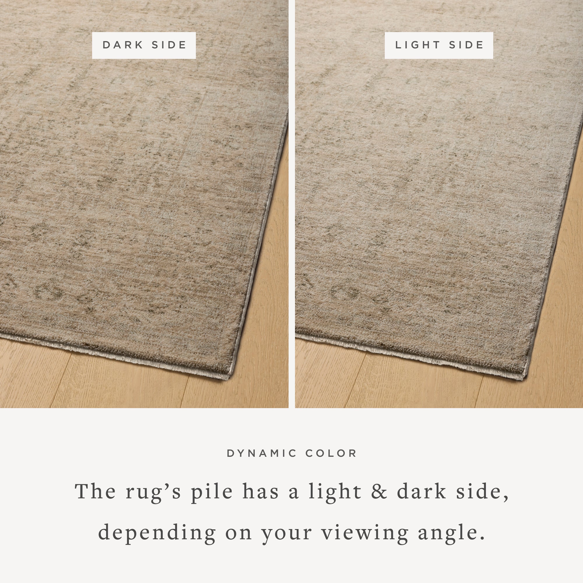 Junie Oatmeal Smoke Rug - Image 10