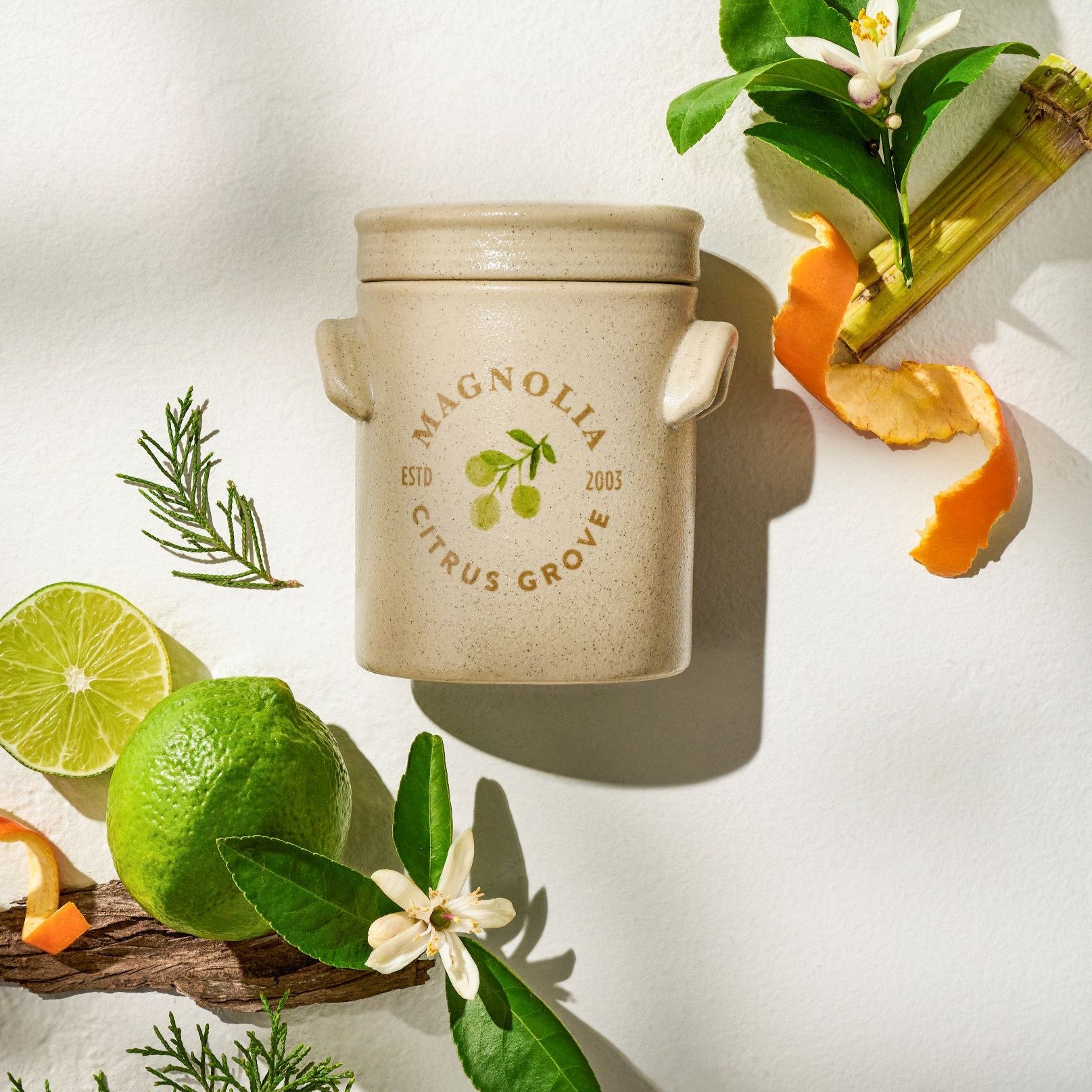 Magnolia Citrus Grove Candle - Image 4