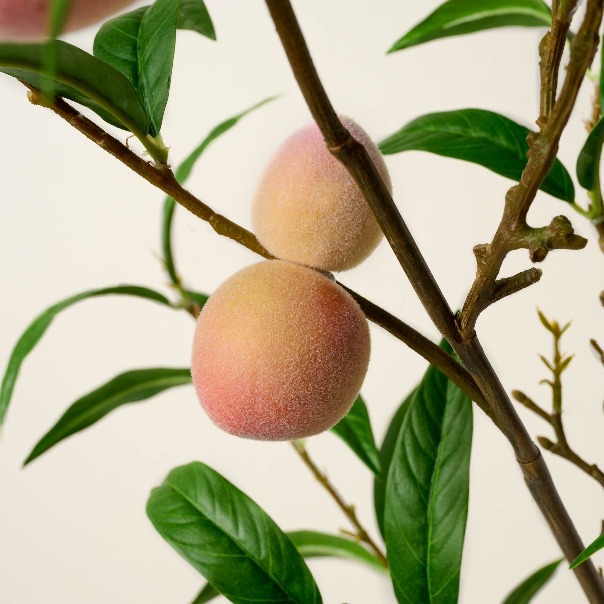 Oversized Peach Stem - Image 3