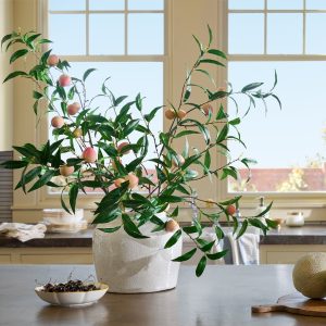Oversized Peach Stem