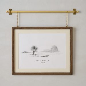 Colleen Wood and Brass Rail Picture Frame