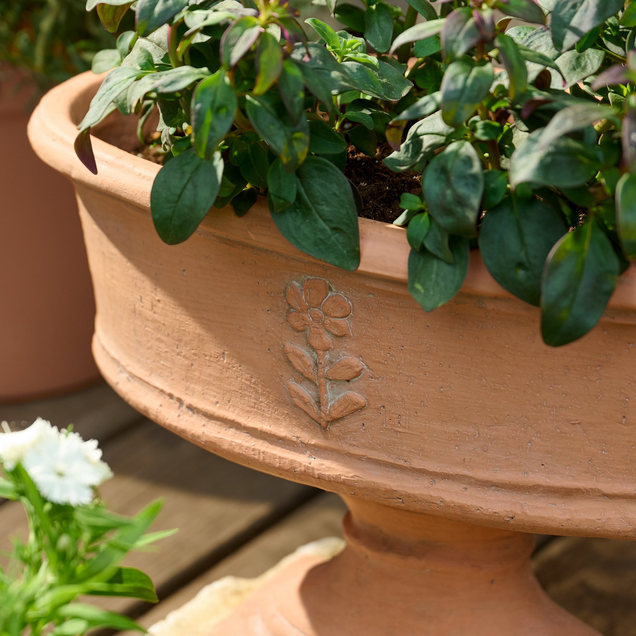 Elongated Floral Terracotta Planter - Image 3