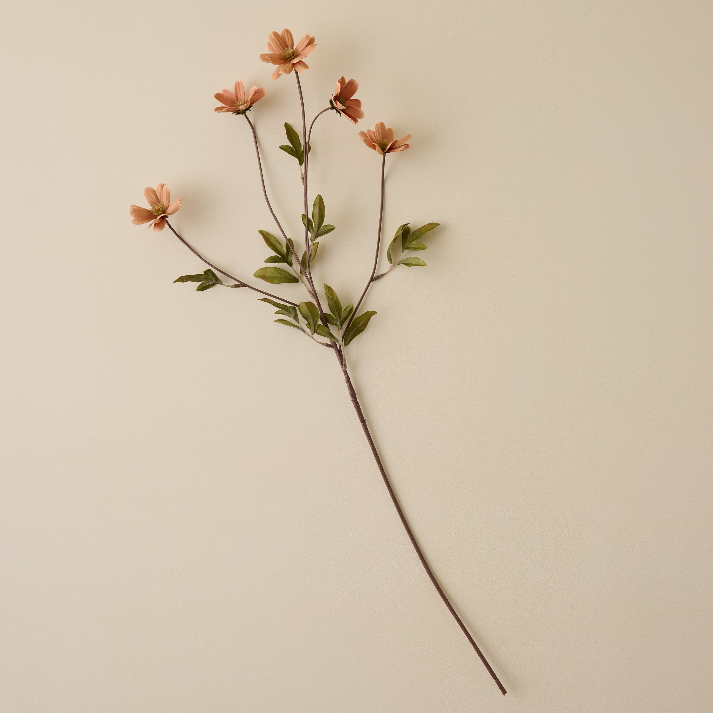 Light Amber Cosmos Stem - Image 3