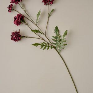 Real Touch Red Velvet Scabiosa Stem
