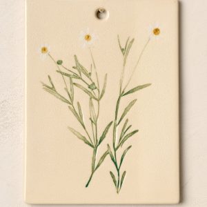 Jo's Herbarium Ceramic Wall Plaque - Collected Daisies